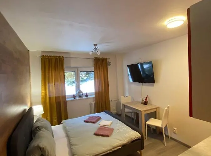 Terasy Se Saunou Železná Ruda